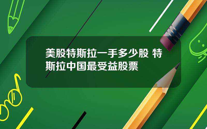 美股特斯拉一手多少股 特斯拉中国最受益股票